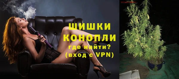 гашик Михайловск