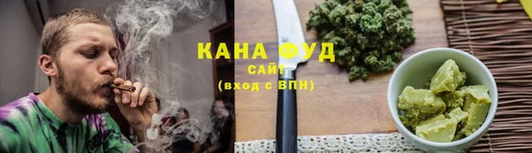 индика Белокуриха