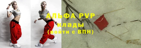 гашик Михайловск