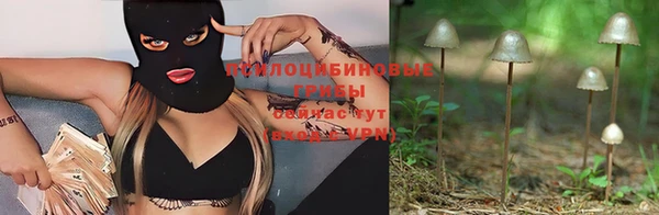 гидра Михайловка