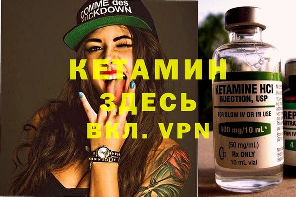 гидра Михайловка