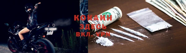 гашик Михайловск