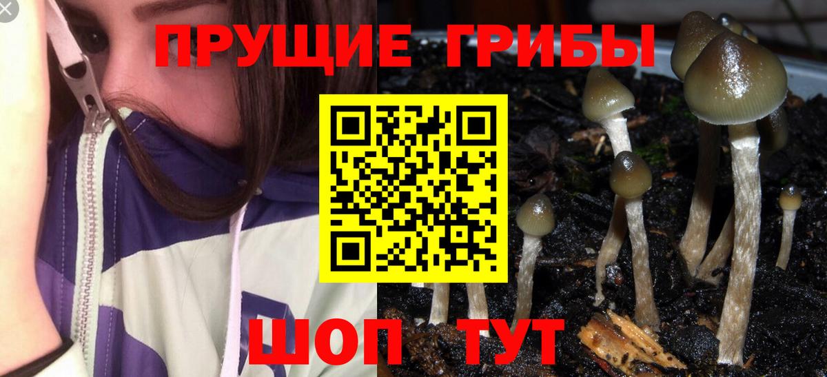 Галлюциногенные грибы GOLDEN TEACHER Нальчик